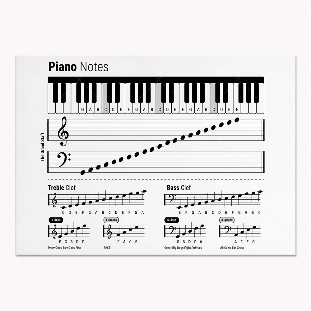 Guitar theory, piano, audio sp - Audio Into Music Sheet recensie en prijs